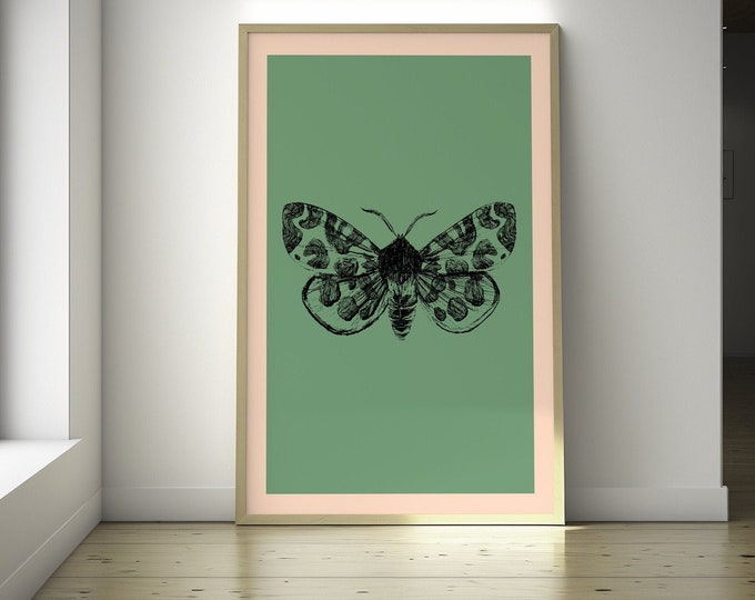Premium Butterfly Botanical Print  Art Poster for Wall Decor  Elegant Nature Illustration