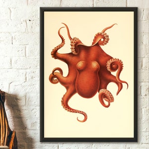 Póster de pulpo vintage con arte de pared, impresión de animales marinos de primera calidad.
