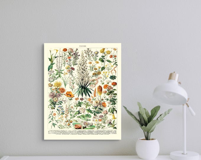 Vintage Floral Wall Art  1909 Botanical Print  Romantic Garden Decor