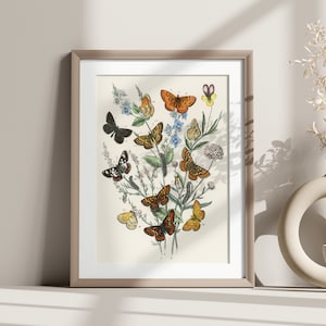 Stampa botanica vintage a forma di farfalla da parete - Elegante idea regalo per la casa