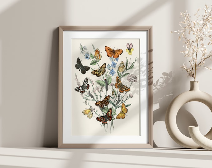 Vintage Butterfly Botanical Print Wall Art - Elegant Home Decor Gift Idea