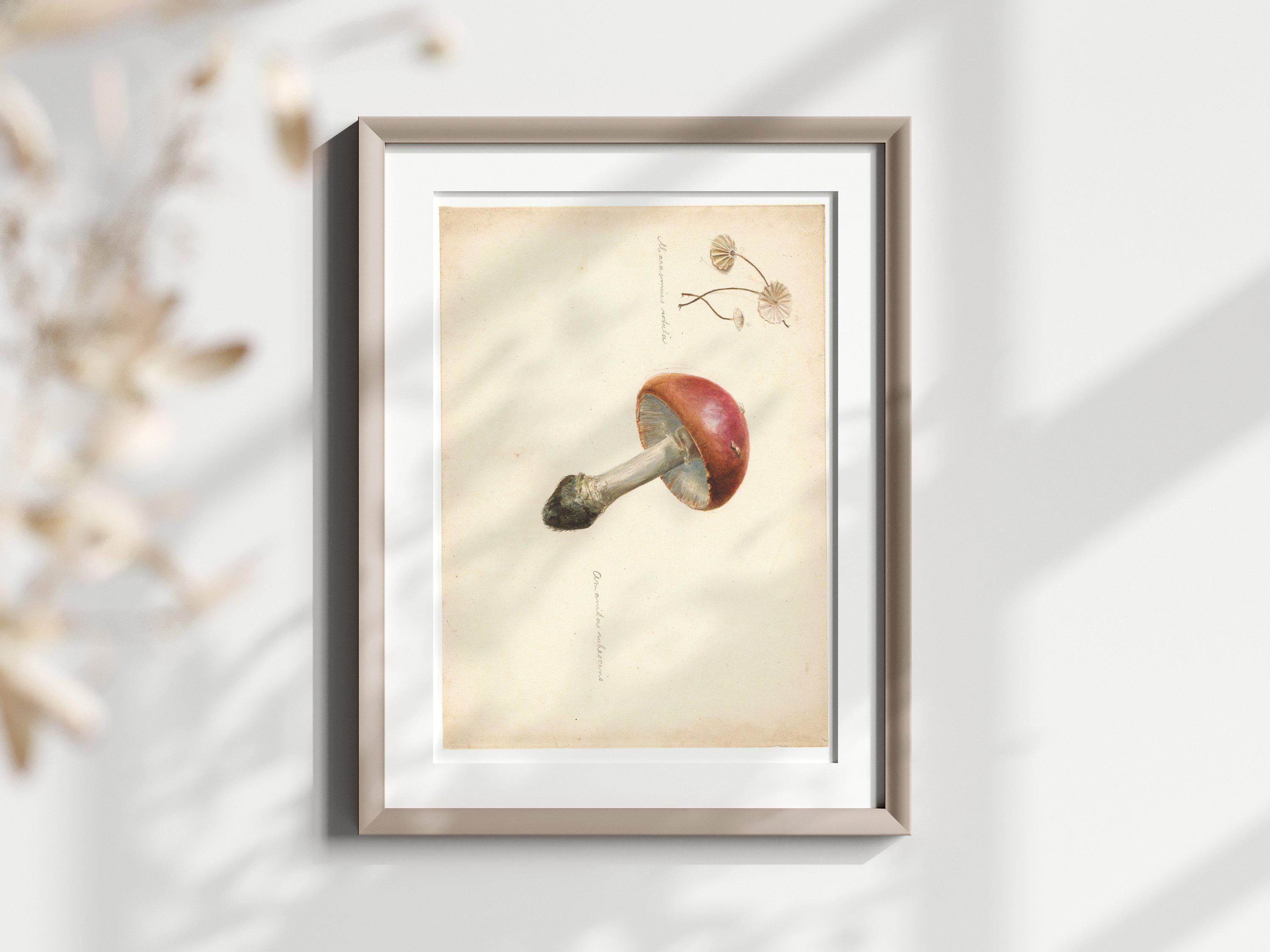 VintageWallGraphics - Etsy 日本