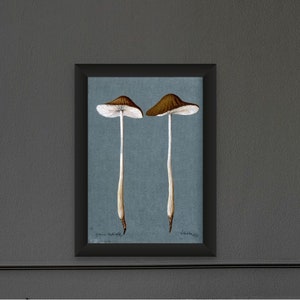 Wand Kunst Vintage Mushroom Print 1896 - Pilz Poster Botanische Wand Kunst Pilz Poster Botanische Wand Kunst Vintage Mushroom Dekor neu