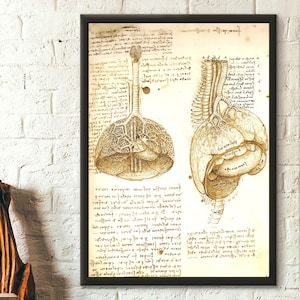 Da Vinci Anatomie Print Wissenschaft Druck Medizinischer Dekor Mensch Anatomisch Poster Anatomie des Menschen Anatomische Drucke Da Vinci Print Wandkunst