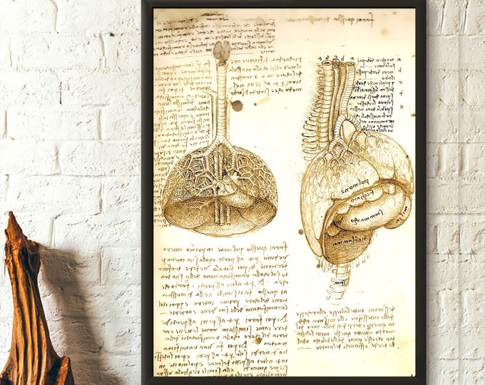 Da Vinci Anatomy Print Science Print Medical Decor Human Anatomical Poster Human Anatomy Anatomical Prints Da Vinci Print Wall Art