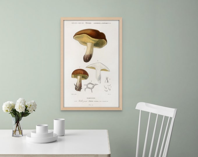 Vintage Mushroom Wall Art Print - Botanical Decor for Nature Lovers - Unique Mushroom Poster
