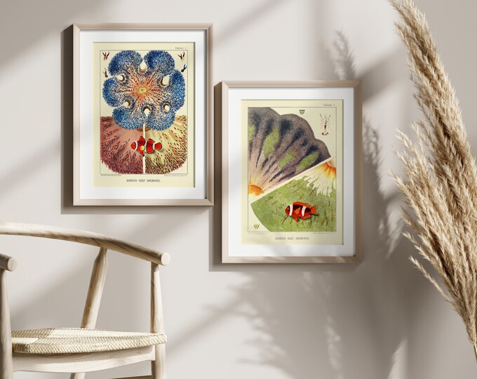 Premium Quality Poster: A Beautiful Set Of 2 Vintage Sea Life Poster Vintage Botanical Illustration Butterfly Poster Wall Art