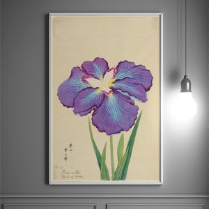 Póster vintage de flores japonesas de 1910, impresión botánica, arte mural floral romántico.