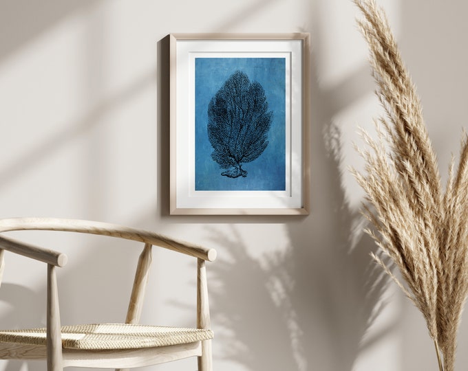 Coral Fan Beautiful Sea Life Poster Marine Wall Art Create Your Own Set From Our Shop Wall Art