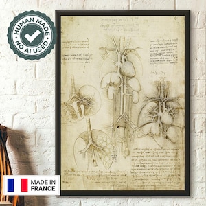 Póster de anatomía humana de Da Vinci, decoración médica, arte anatómico para amantes de la ciencia.