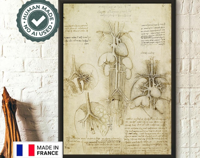 Da Vinci Human Anatomy Print  Medical Decor Poster  Anatomical Art for Science Lovers