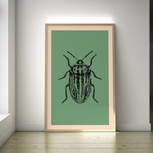 Póster de pared con estampado botánico de escarabajo, ilustración de insectos de primera calidad