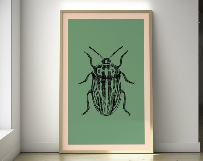 Beetle Botanical Print: Vintage Insect Illustration Wall Art