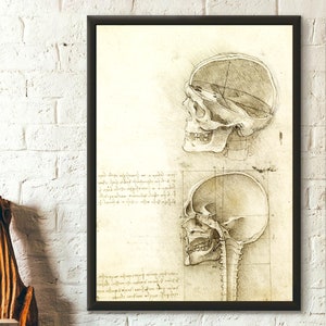 Vintage Anatomical Art Medical Art Human Anatomical Poster Da Vinci Poster Skull Poster Anatomical Decor Medical  Wall Art