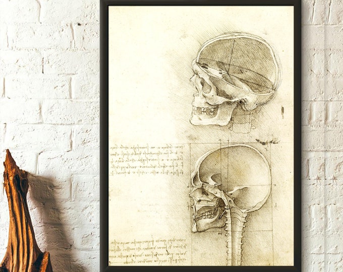 Vintage Anatomical Art - Medical Art Human Anatomical Poster Da Vinci Poster Skull Poster Anatomical Decor Gift Idea Medical Gift Wall Art