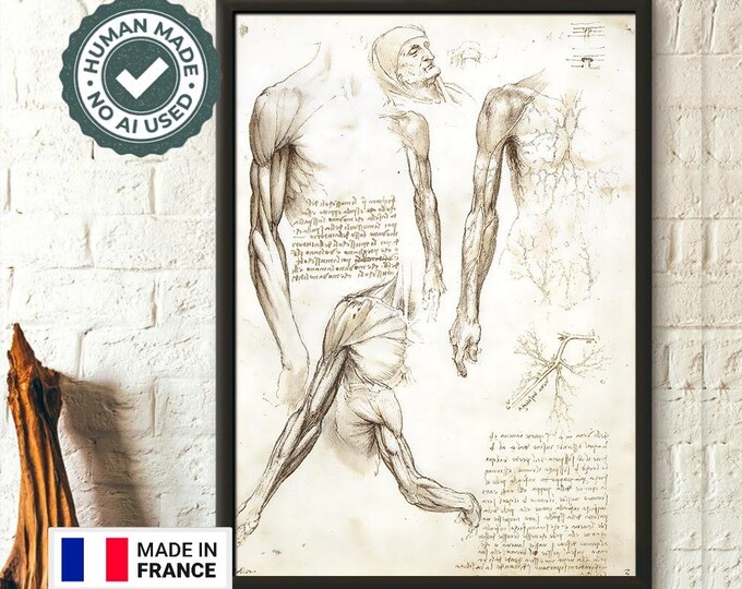 Da Vinci Human Anatomy Print - Vintage Medical Decor for Home  Living Room