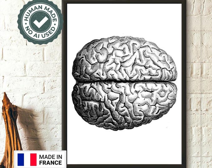 Vintage Brain Anatomical Print Poster  Medical Wall Art Decor  Science Illustration