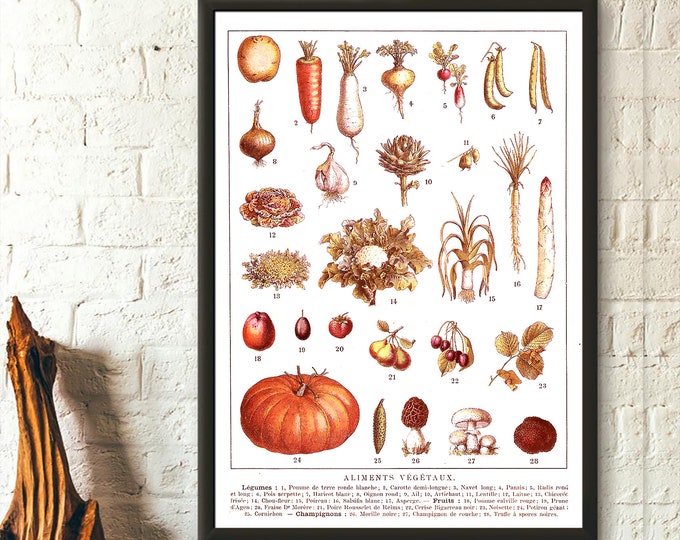 Vintage Vegetable Print 1912 Kitchen Wall Art - Larousse Decor  Gift Idea