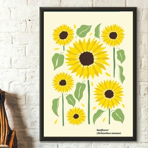 Sunflower Print Colorful Botanical Art Print  Spring Flowers Print Colorful Art Print , Spring Floral Art Print, Wildflowers Print Wall Art