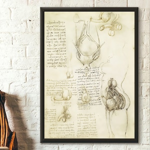 Da Vinci Anatomie Druck - Die männlichen und weiblichen Fortpflanzungsorgane - Anatomisches Poster Da Vinci Anatomische Drucke Geschenkidee
