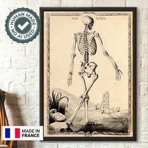Vintage Skeleton Anatomy Print Wall Art by John Fotherby Medical Decor Gift for Doctors
