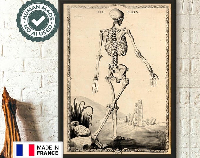 Vintage Skeleton Anatomy Print Wall Art by John Fotherby Medical Decor Gift for Doctors