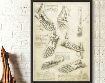 Da Vinci Anatomy Print - Medical Decor Human Anatomical Poster Da Vinci Poster Anatomical Prints Medical Decor Gift Idea Medical Wall Art