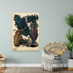 Stampa poster vintage di uno scarabeo, decorazione da parete botanica di alta qualità, decorazione da parete con insetti