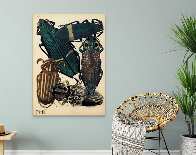 Vintage Beetle Poster Print  Premium Botanical Wall Art Decor  Insect Wall Art
