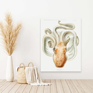 Ilustración del pulpo Velodona 1989 - Expedición alemana a las profundidades marinas Arte oceánico Impresión náutica Póster marino Póster de pulpo Arte de pared náutico nuevo