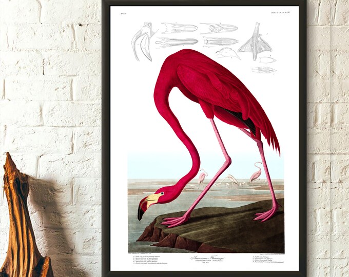 Vintage Flamingo Art Print  Botanical Bird Decor  Romantic Floral Illustration