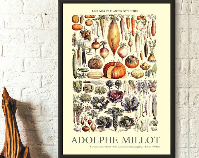 Adolphe Millot Vegetable Poster: Vintage Botanical Kitchen Print
