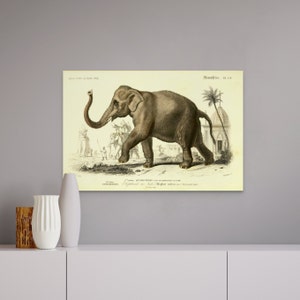 Vintage Elefant Wand Kunst Druck 1961 Tier Illustration für Kinderzimmer Dekor Charmante Kinder Zimmer Dekor