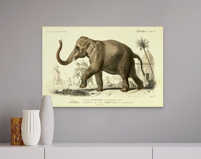 Vintage Elephant Wall Art Print  1961 Animal Illustration for Nursery Decor  Charming Kids Room Decor