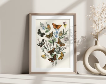 Beautiful Vintage Butterfly Botanical Print -  Vintage Poster Botanical Illustration Butterfly Poster Gift Idea