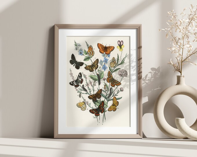 Wall Art Beautiful Vintage Butterfly Botanical Print -  Vintage Poster Botanical Illustration Butterfly Poster Gift Idea