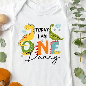 Personalised Dinosaur 1st Birthday Outfit Sleepsuit Babygrow Bodysuit Bib First Birthday Dinosaur FANDANGO