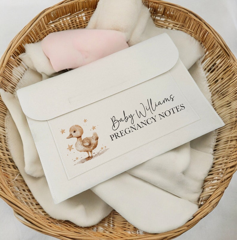 Cartella personalizzata per appunti di gravidanza/maternità con anatra / Cartella documenti Regalo per la nuova mamma Regalo per il neonato Arcobaleno Baby IVF Journey Hospital Bag immagine 1