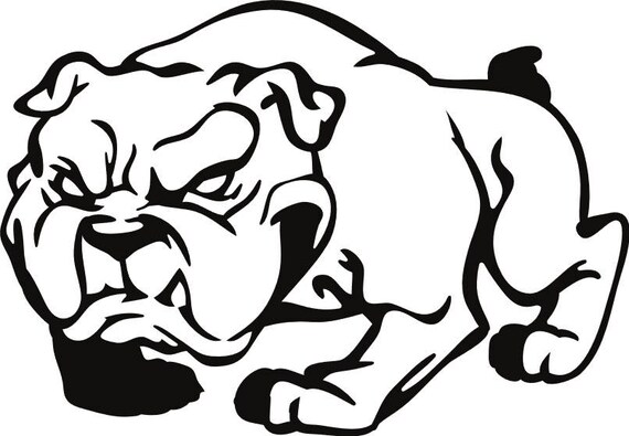 are bulldogs angry