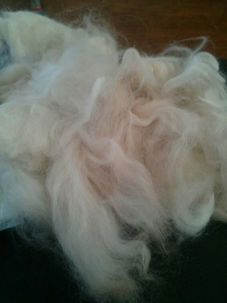 Fawn Angora Fiber English Angora Wool Rabbit Fur Fibers Raw Fiber Natural Hair Cruelty Free Spinning Fiber 1 Ounce