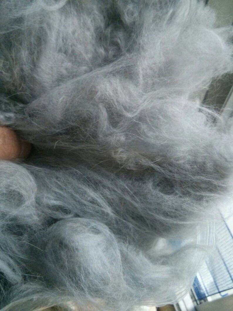 Chestnut Angora Fiber English Angora Wool Rabbit Fur Fibers Raw Fiber Natural Hair Cruelty Free Spinning Fiber 1 Ounce