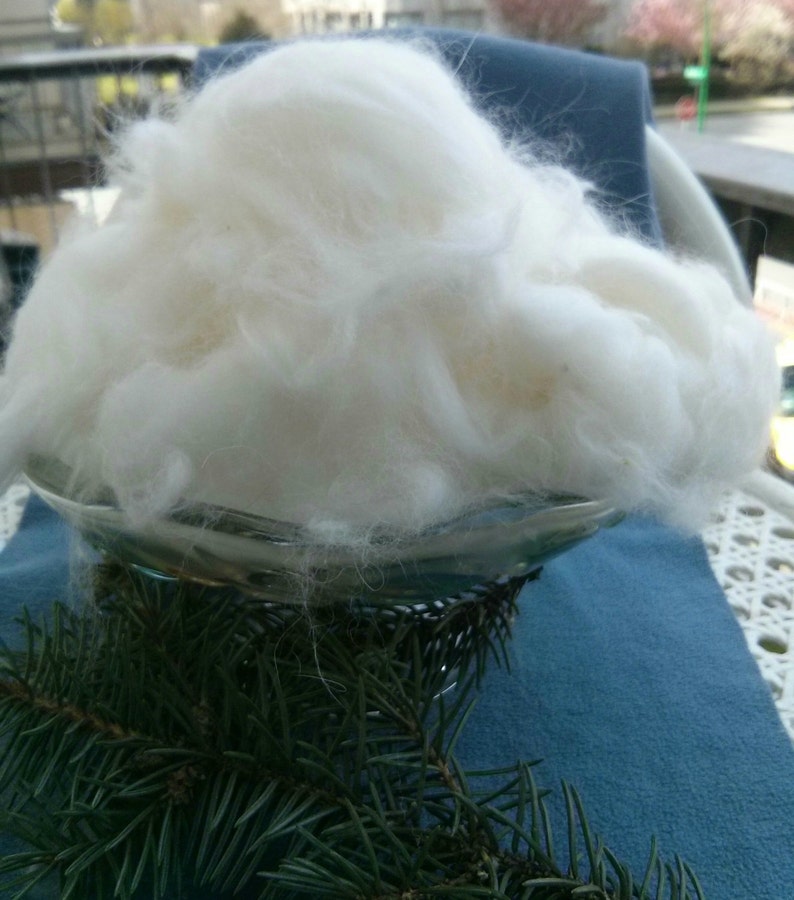 White Angora Fiber English Angora Wool Rabbit Fur Fibers Raw Fiber Natural Hair Cruelty Free Spinning Fiber 1 Ounce