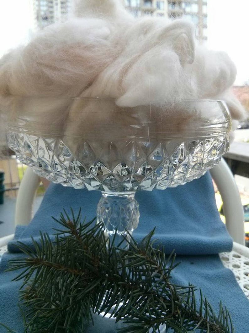 Fawn Angora Fiber English Angora Wool Rabbit Fur Fibers Raw Fiber Natural Hair Cruelty Free Spinning Fiber 1 Ounce