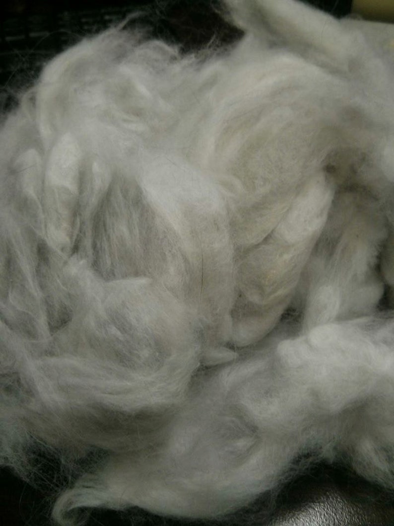 Blue Angora Fiber English Angora Wool Rabbit Fur Fibers Raw Fiber Natural Hair Cruelty Free Spinning Fiber 1 Ounce