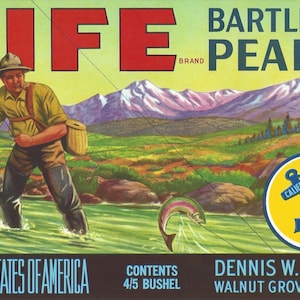 Crate Label Original Vintage Life Brand Bartlett Pears Label 11&quot; x 7.5&quot; 1950&#39;s Vintage