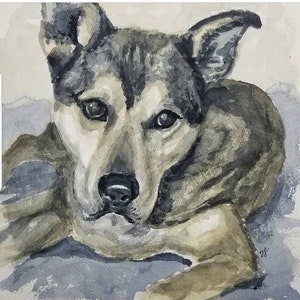 Pet Portrait in Watercolor. Dog, cat, horse, parrot, snake, turtle, ferret, bunny, pig, etc. painting hand-painted from photo, Free Shipping image 8