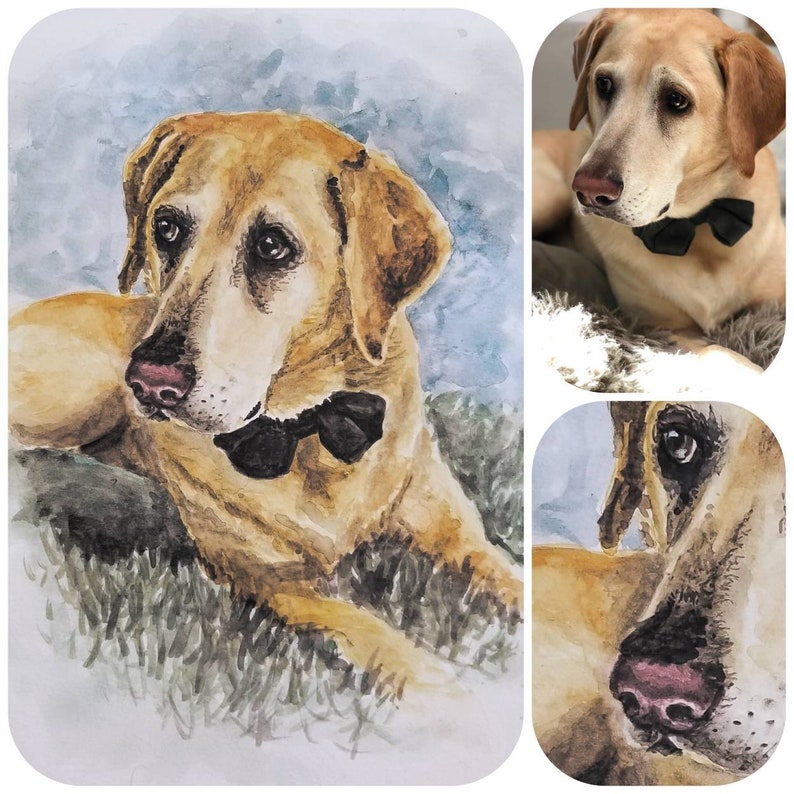 Pet Portrait in Watercolor. Dog, cat, horse, parrot, snake, turtle, ferret, bunny, pig, etc. painting hand-painted from photo, Free Shipping image 3