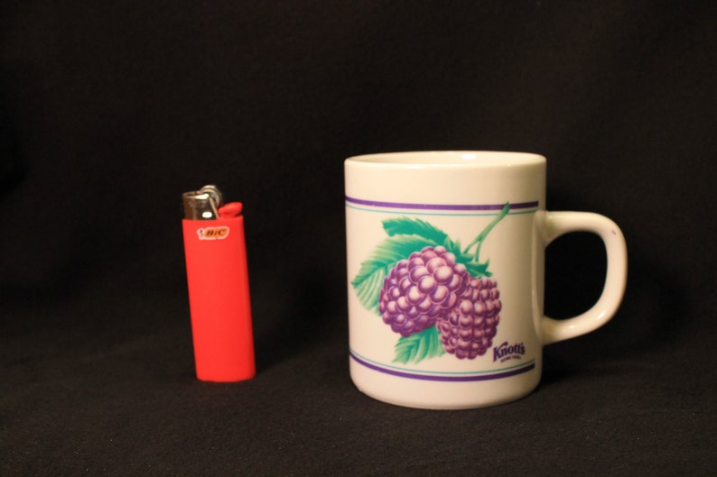 Knott's Berry Farm Porcelain Boysenberry Coffee Mug or Cup Etsy