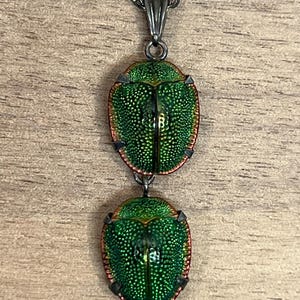May include: A necklace featuring two iridescent green beetle wing pendants set in dark metal prongs. The pendants are arranged vertically, with the top piece attached to a dark metal chain bail. The wings have a textured, metallic surface.