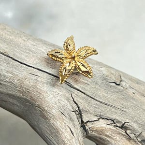 Vintage Single Ear Piercing 14k Yellow Gold Textured Diamond-Cut Sea Star Starfish Design Stud Post Earring